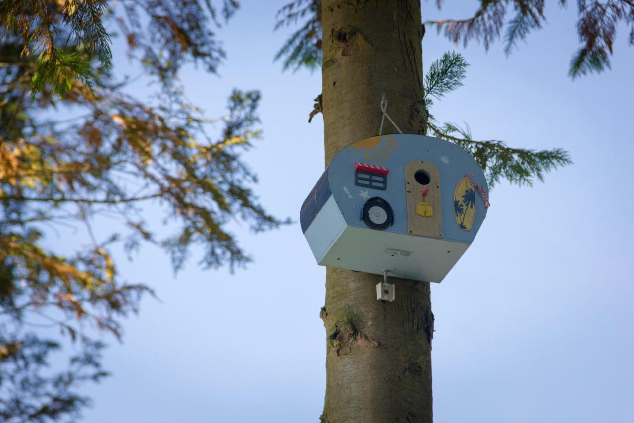Camping Het Vossenhol Ermelo Bagian luar foto